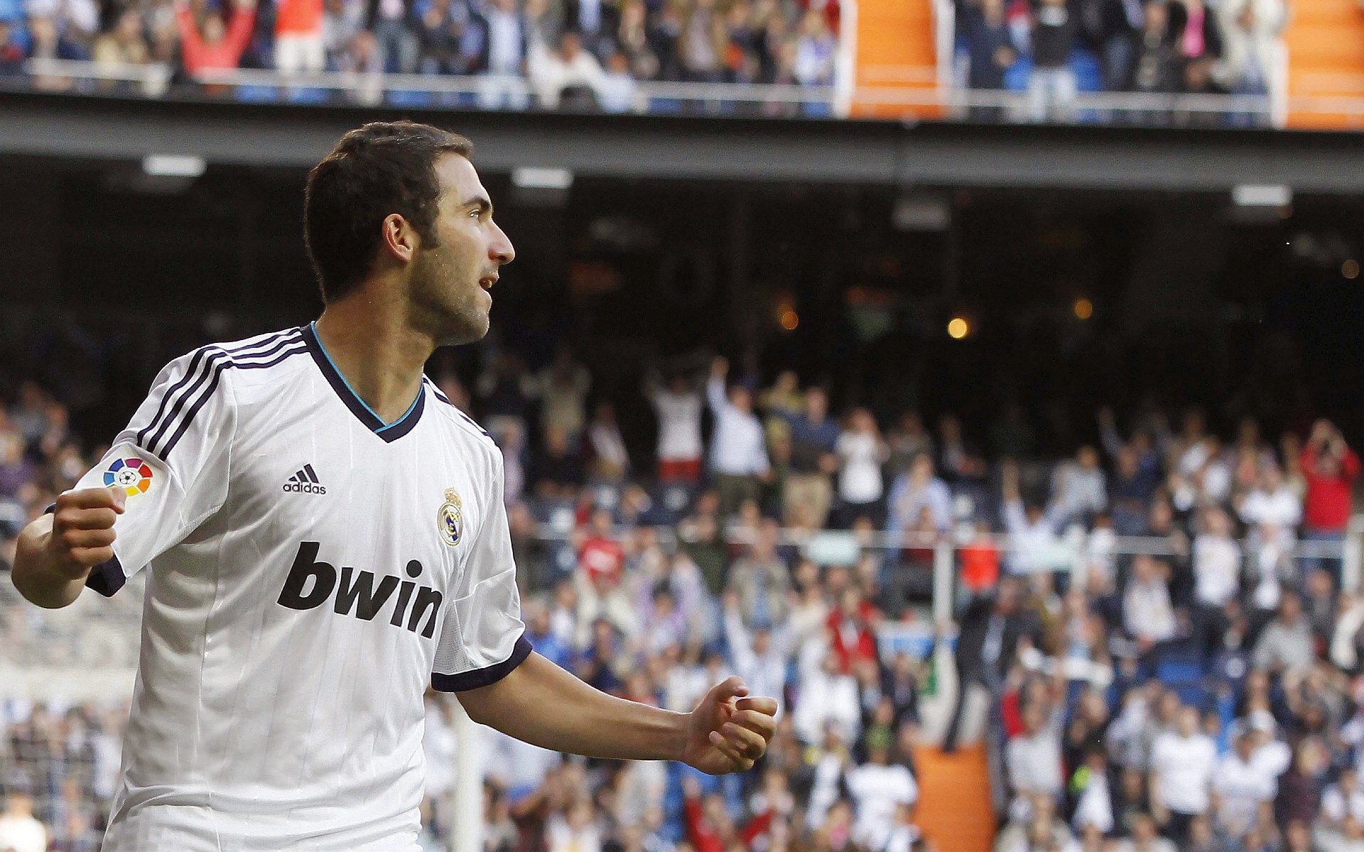 开云体育平台APP-聚光灯下的进化论，当戈麦斯踏上年度焦点之战之夜